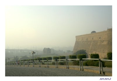 _MG_7637.jpg