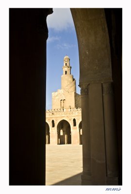 _MG_8036.jpg
