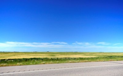 _DSC5658.jpg