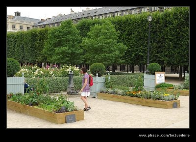 Jardin du Palais Royal #1, Paris
