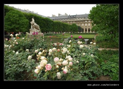 Jardin du Palais Royal #3, Paris
