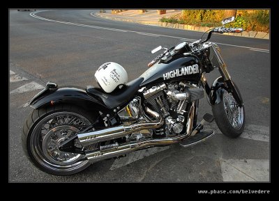 Custom Harley Davidson #01