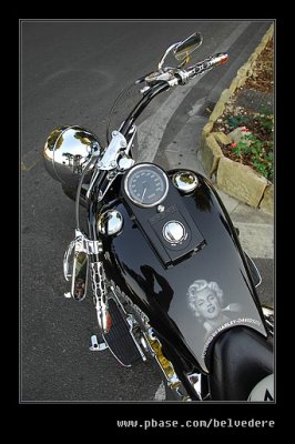 Custom Harley Davidson #04