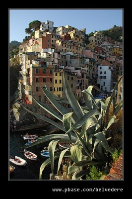 Riomaggiore #2, Cinque Terre, Liguria, Italy