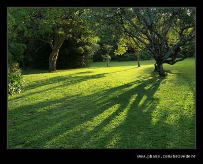 Botanic Garden #13, Durban, KZN, South Africa