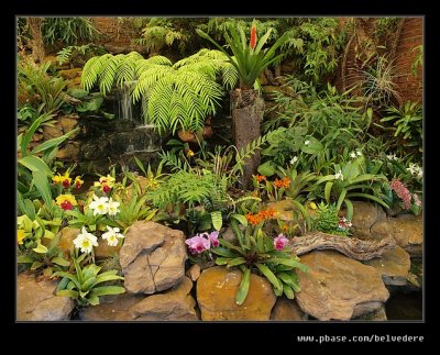 Botanic Garden #14, Durban, KZN, South Africa