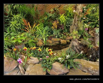 Botanic Garden #15, Durban, KZN, South Africa
