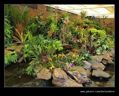 Botanic Garden #16, Durban, KZN, South Africa