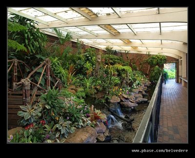 Botanic Garden #20, Durban, KZN, South Africa