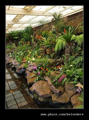 Botanic Garden #22, Durban, KZN, South Africa