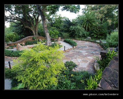 Botanic Garden #24, Durban, KZN, South Africa
