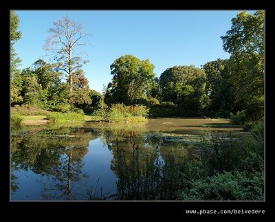 Botanical Garden #03, Pietermaritzburg, KZN, South Africa