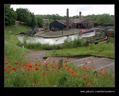 Canal Basin Poppies, Black Country Museum