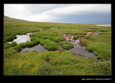 Summit Lake Wetlands, Mt Evans, CO