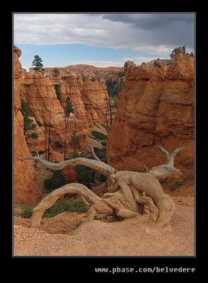 Queens Garden Hike #08, Bryce Canyon National Park