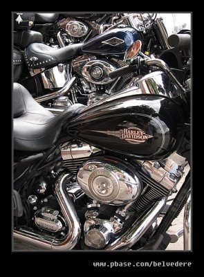Harley Davidsons, Moab