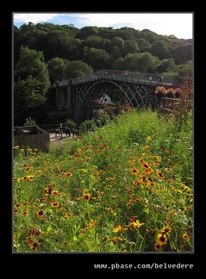 Wildflowers & Iron Bridge, Ironbridge