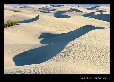 Stovepipe Wells Dunes #2, Death Valley NP, CA