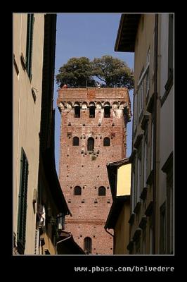 Torre Guinigi #1, Lucca