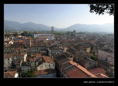 View from Torre Guinigi #1, Lucca