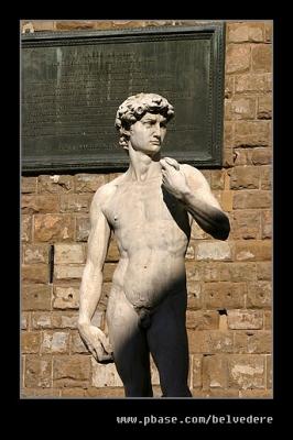 Michelangelo's David #1