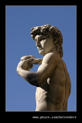 Michelangelo's David #2