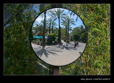 Reflection at San Diego Zoo, CA