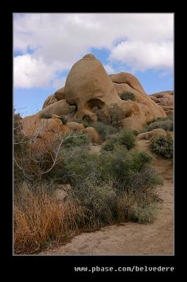 Skull Rock, Joshua Tree NP, CA