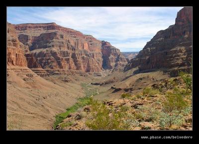 Grand Canyon #1