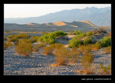 Evening at Stovepipe Wells Dunes #1, Death Valley NP, CA