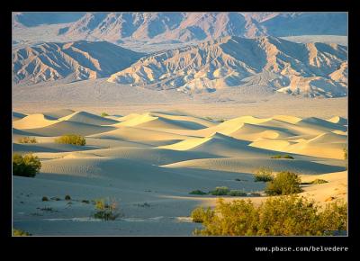 Evening at Stovepipe Wells Dunes #3, Death Valley NP, CA