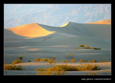 Evening at Stovepipe Wells Dunes #5, Death Valley NP, CA