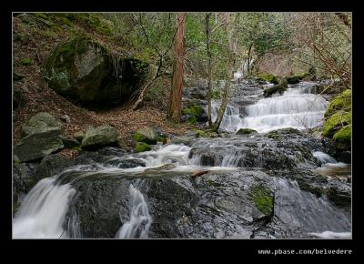 Big Fern Springs #4, Sequoia NP, CA