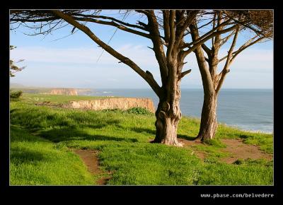 Cypress Trail #2, Davenport, CA