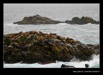 Seal Rock, Point Lobos State Reserve, CA