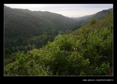 Valley View, Pfeiffer Big Sur State Park, CA