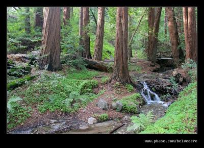 Valley View Trail Footbridge, Pfeiffer Big Sur State Park, CA