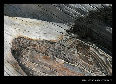 Charred Driftwood, Pfeiffer Beach, Big Sur, CA