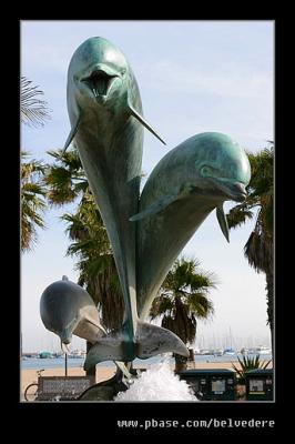 Dolphins, Stearn's Wharf, Santa Barbara, CA