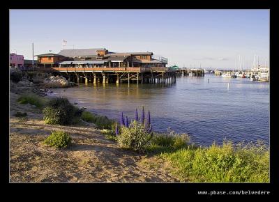 Old Fisherman's Wharf, Monterey, CA