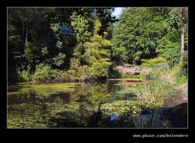 The Lake #3 (Chinese Pagoda & Japanese Bridge), Portmeirion