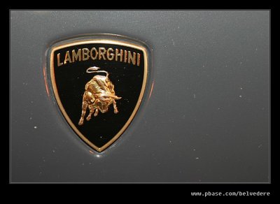 Lamborghini Raging Bull