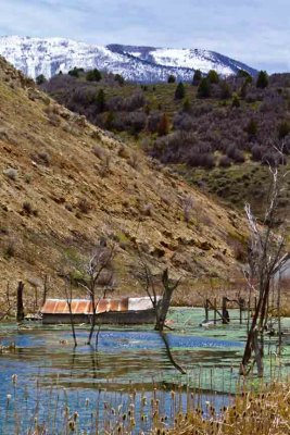 Thistle flood remains 2