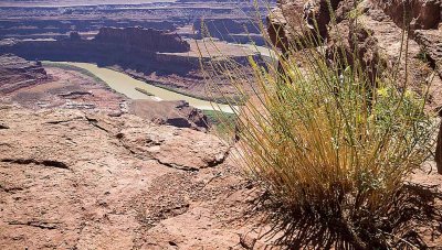 dead horse canyon_7