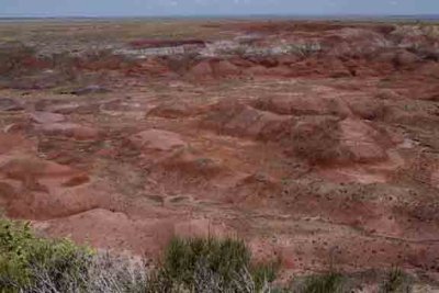 painted desert