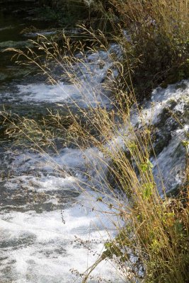 R8_17_2012 _22.jpg