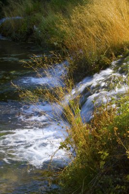 R8_17_2012 _23.jpg