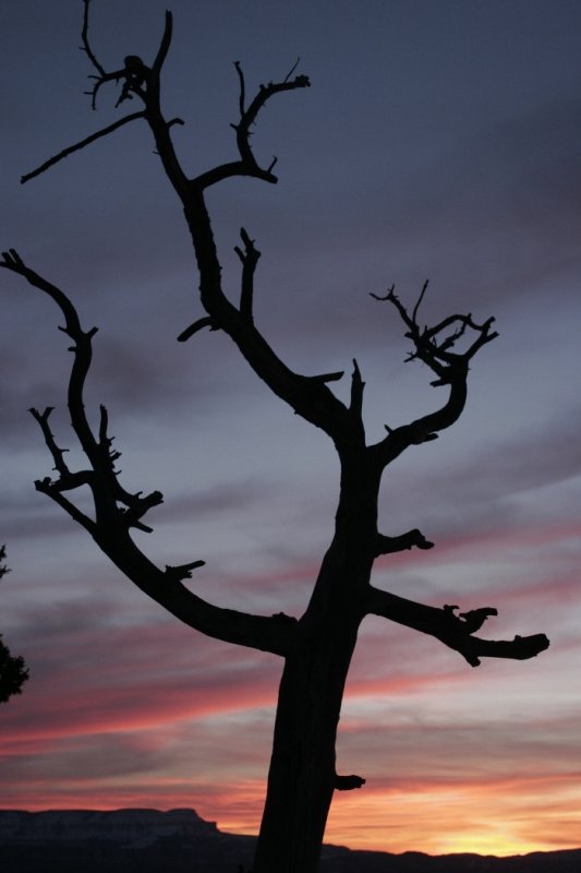 Bryce Canyon SunRise