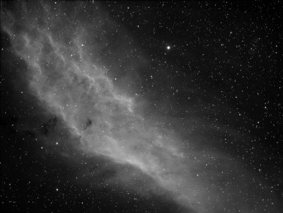 NGC 1499, The California Nebula in Ha