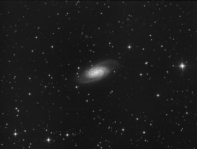  NGC 2903 